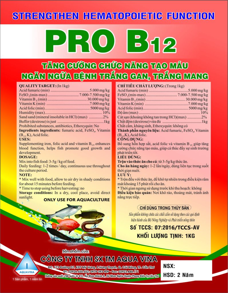 PRO B12