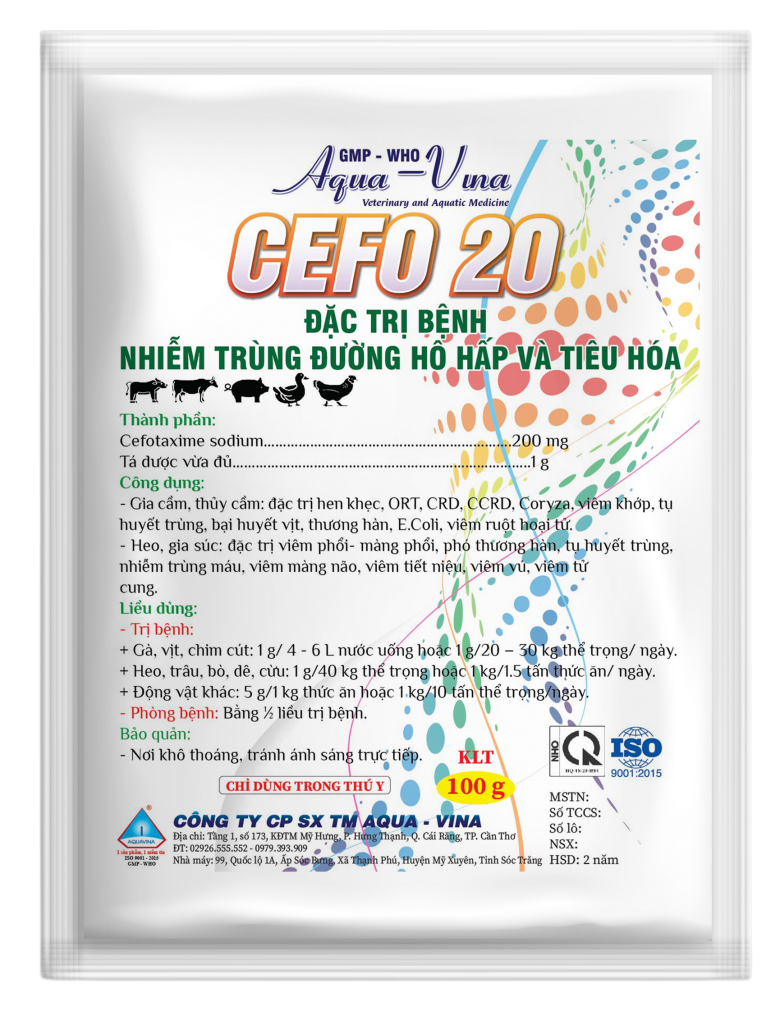 CEFO 20