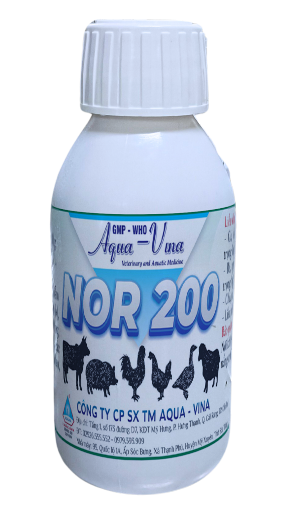 NOR 200 – ĐẶC TRỊ CÁC CHỨNG NHIỄM TRÙNG DO VI KHUẨN