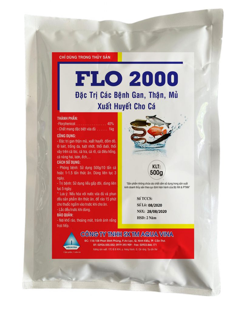 FLO 2000