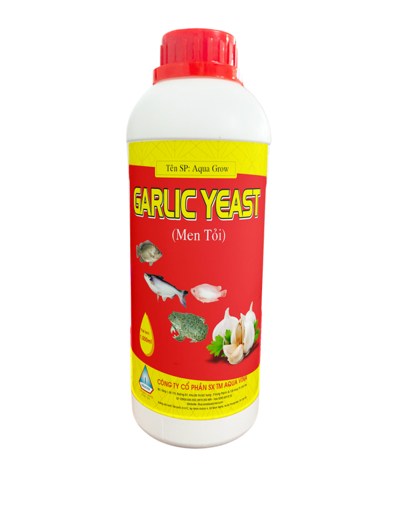 GARLIC YEAST – CUNG CẤP ENZYMES TIÊU HÓA