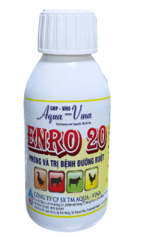 ENRO 20 – ĐẶC TRỊ VIÊM PHẾ QUẢN