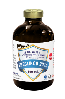 SPECLINCO 2010 – ĐẶC TRỊ VIÊM PHỔI