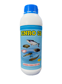 ENRO 35 – PHÒNG TRỊ BỆNH SỐT XUẤT HUYẾT