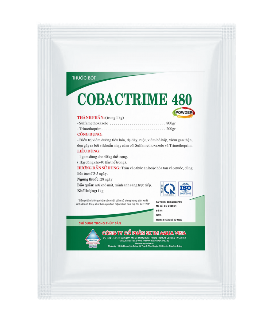 COBACTRIME 480 – ĐẶC TRỊ VIÊM ĐƯỜNG TIÊU HÓA