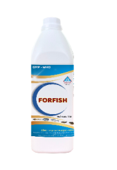 FORFISH – ĐẶC TRỊ CÁC BỆNH GAN THẬN MỦ