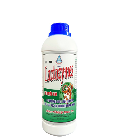 LACTOZYMES – MEN TIÊU HÓA HỖ TRỢ ĐƯỜNG RUỘT