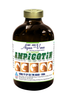 AMPICOTIN – ĐẶC TRỊ VIÊM RUỘT