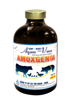 AMOXGENTA – ĐẶC TRỊ VIÊM RUỘT