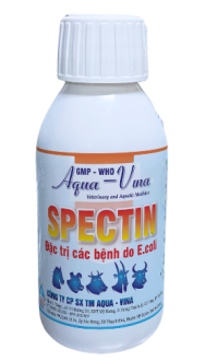 SPECTIN – ĐẶC TRỊ TIÊU CHẢY