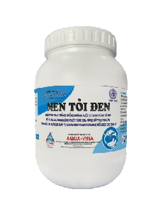 MEN TỎI ĐEN – BỔ SUNG MEN TIÊU HÓA